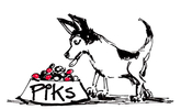 PIKS & SKIP illustrations