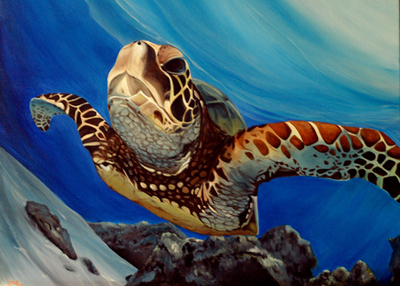 turtle study III (underwater flight)